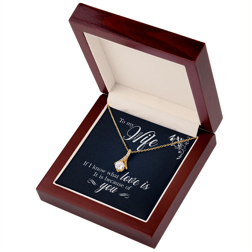 To My Wife If I Know What Love Is Alluring Ribbon Necklace Message Card-Express Your Love Gifts