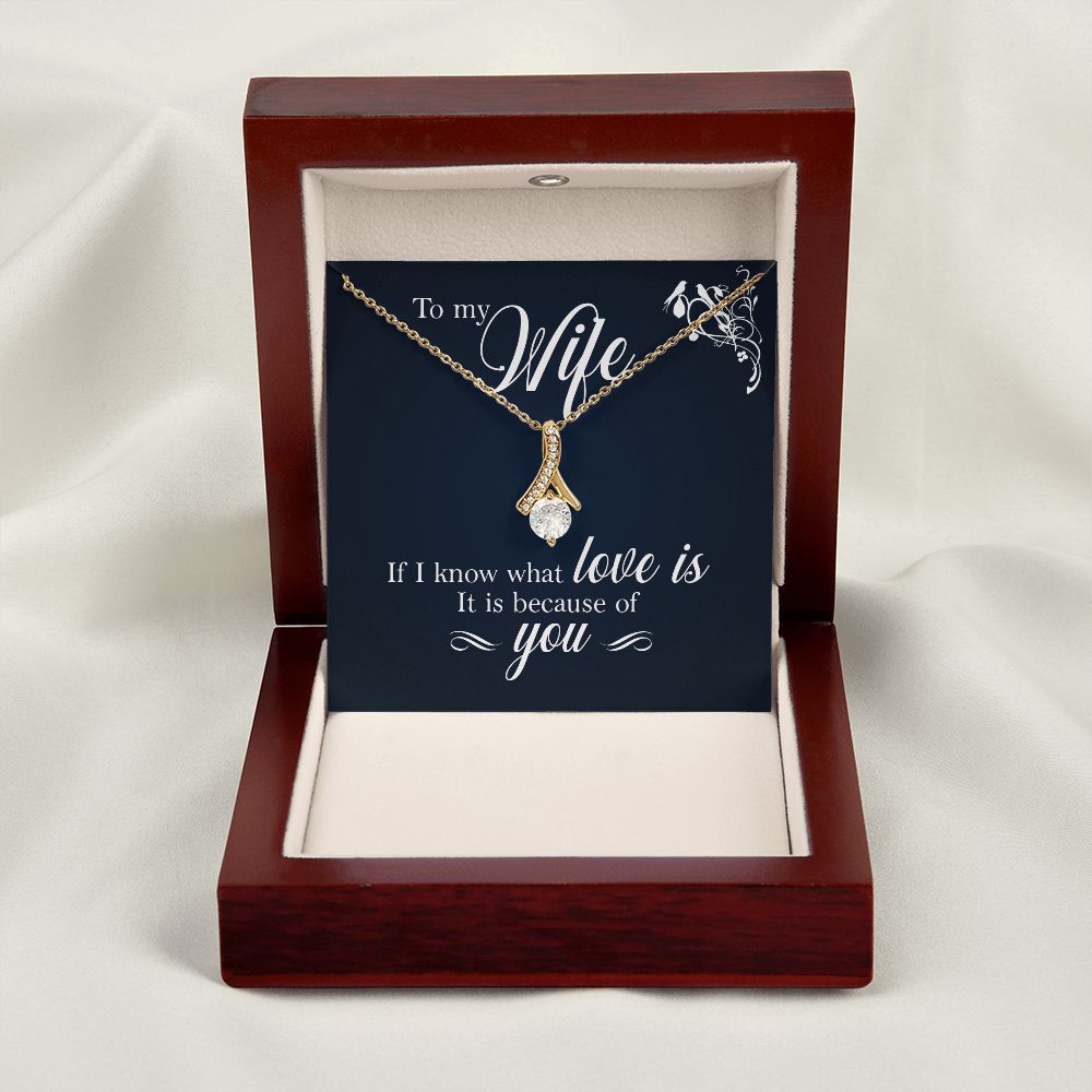 To My Wife If I Know What Love Is Alluring Ribbon Necklace Message Card-Express Your Love Gifts