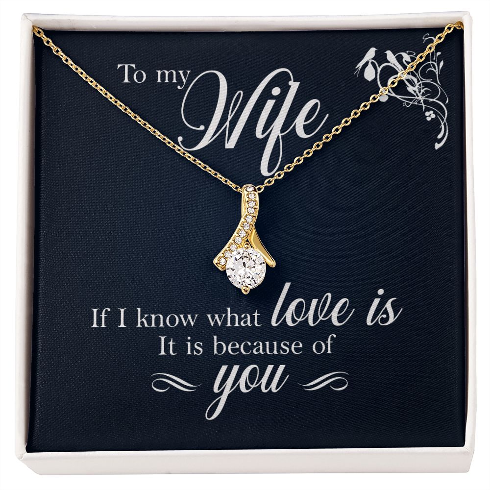 To My Wife If I Know What Love Is Alluring Ribbon Necklace Message Card-Express Your Love Gifts
