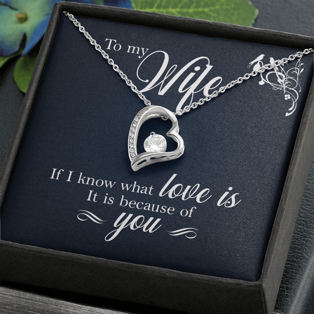To My Wife If I Know What Love Is Forever Necklace w Message Card-Express Your Love Gifts