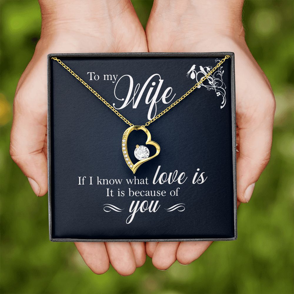 To My Wife If I Know What Love Is Forever Necklace w Message Card-Express Your Love Gifts