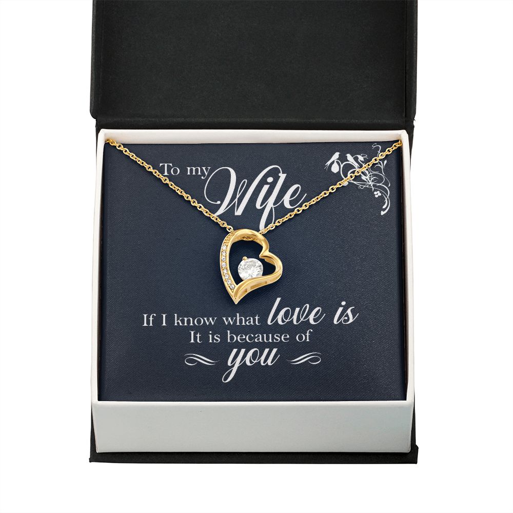 To My Wife If I Know What Love Is Forever Necklace w Message Card-Express Your Love Gifts