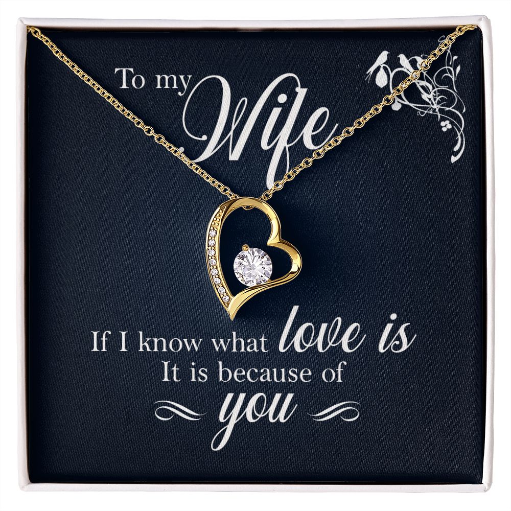 To My Wife If I Know What Love Is Forever Necklace w Message Card-Express Your Love Gifts