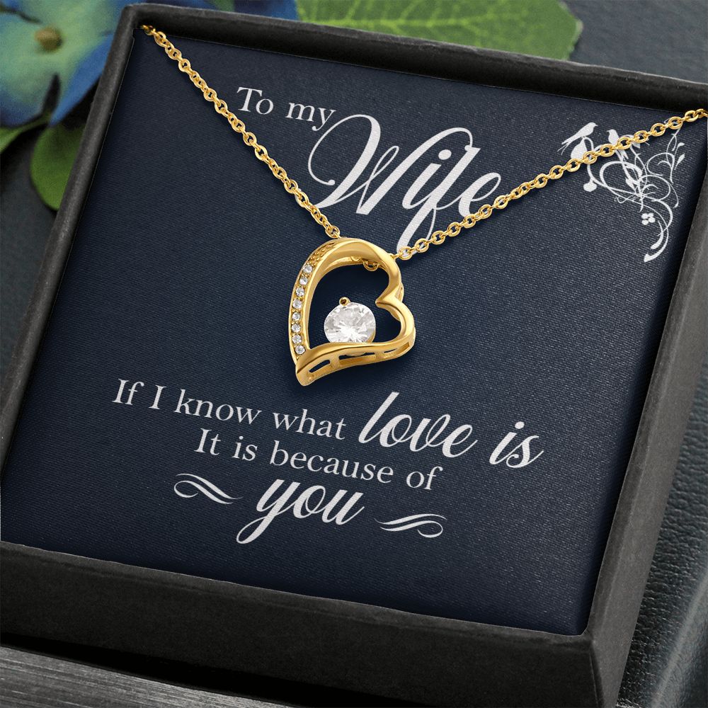 To My Wife If I Know What Love Is Forever Necklace w Message Card-Express Your Love Gifts