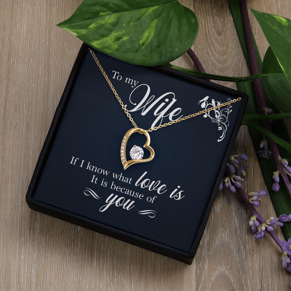 To My Wife If I Know What Love Is Forever Necklace w Message Card-Express Your Love Gifts