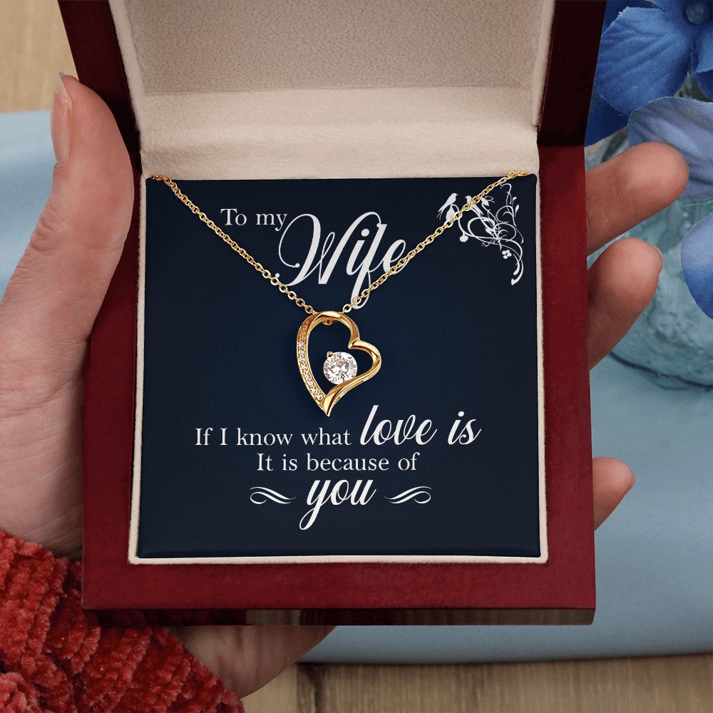 To My Wife If I Know What Love Is Forever Necklace w Message Card-Express Your Love Gifts