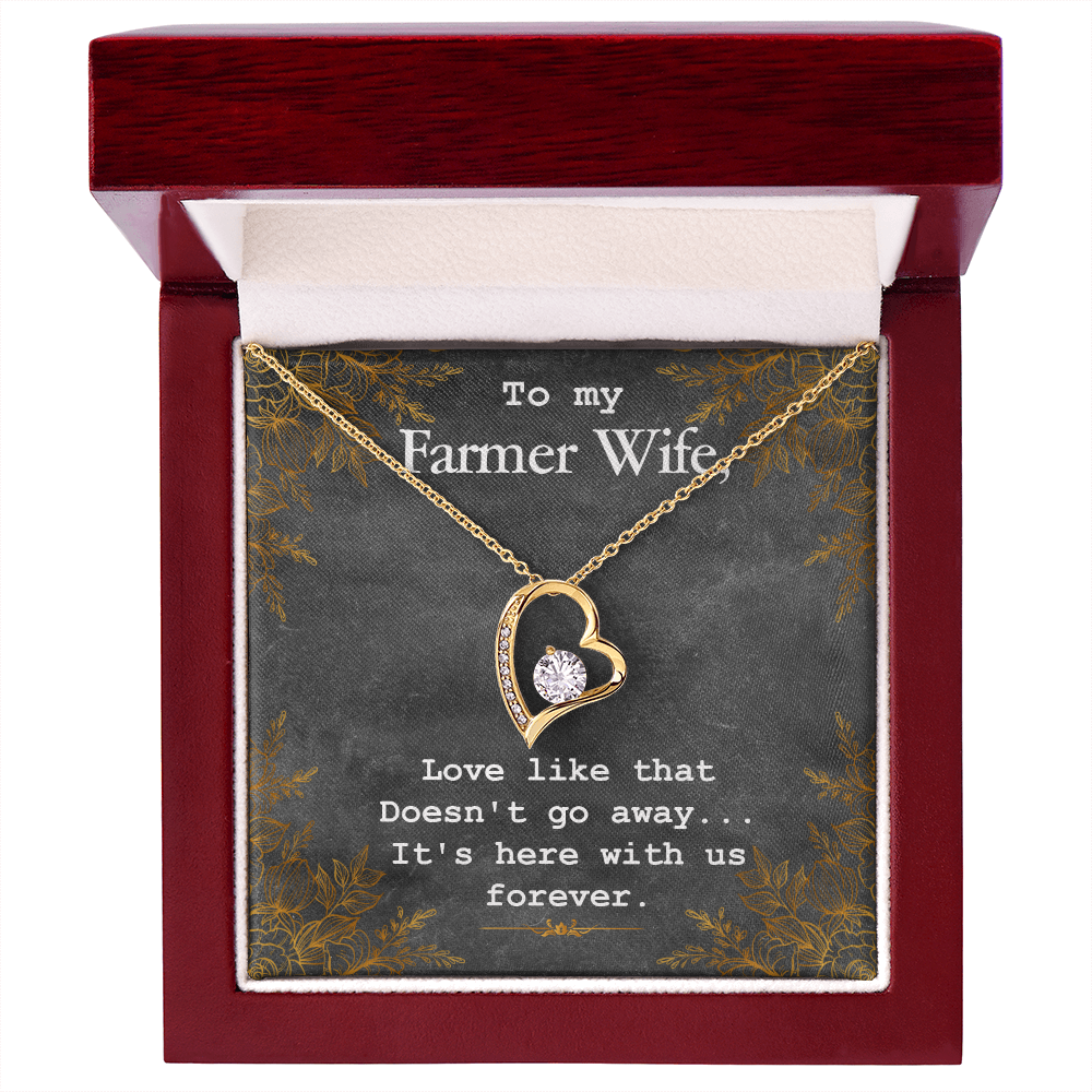 To My Wife Love Like That Doesn't Go Away Farmer Wife Forever Necklace w Message Card-Express Your Love Gifts