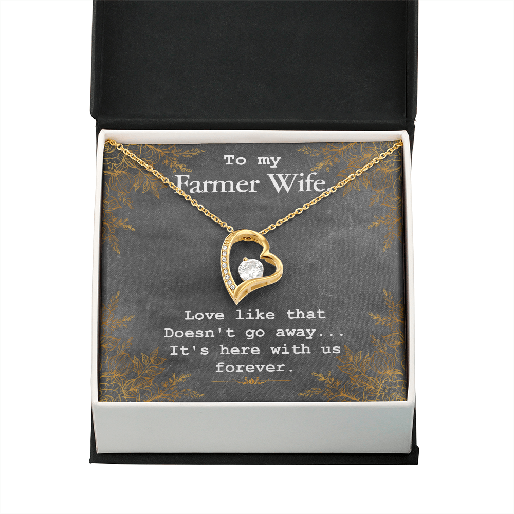 To My Wife Love Like That Doesn't Go Away Farmer Wife Forever Necklace w Message Card-Express Your Love Gifts