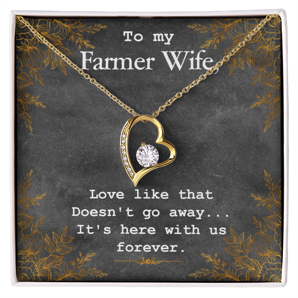 To My Wife Love Like That Doesn't Go Away Farmer Wife Forever Necklace w Message Card-Express Your Love Gifts