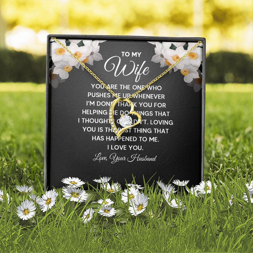To My Wife You Are The One Who Pushes Me Up Forever Necklace w Message Card-Express Your Love Gifts