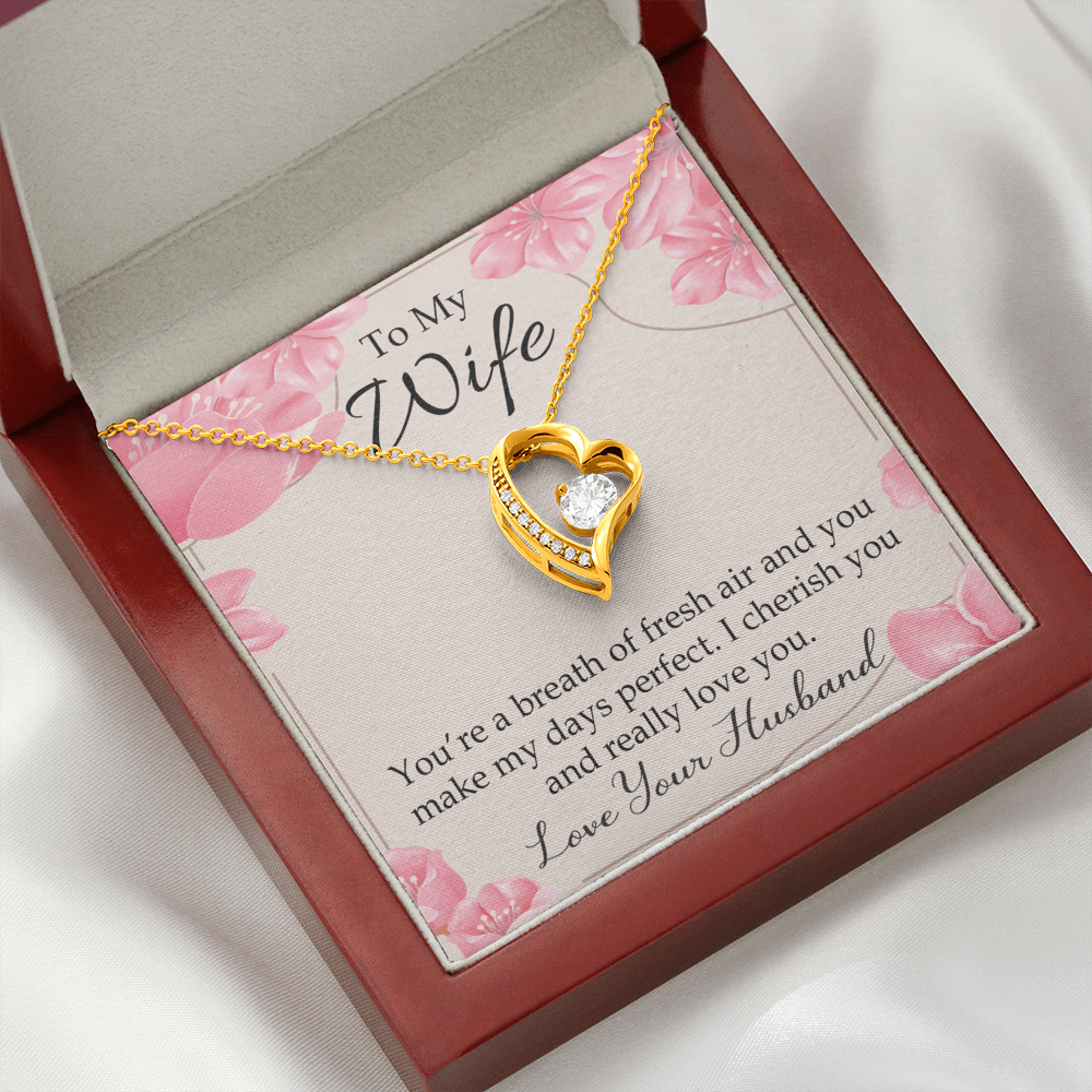 To My Wife You’re a Breath of Fresh Air Forever Necklace w Message Card-Express Your Love Gifts