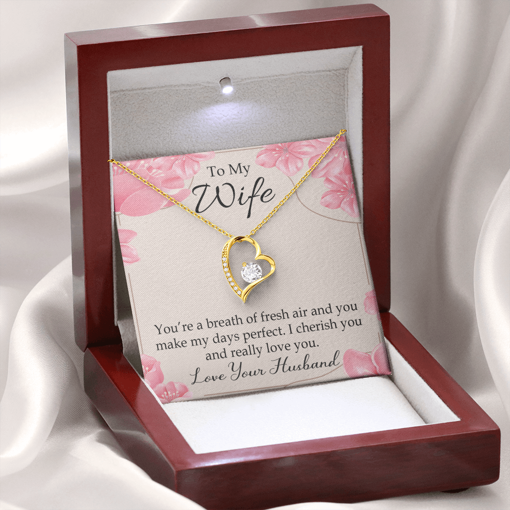To My Wife You’re a Breath of Fresh Air Forever Necklace w Message Card-Express Your Love Gifts