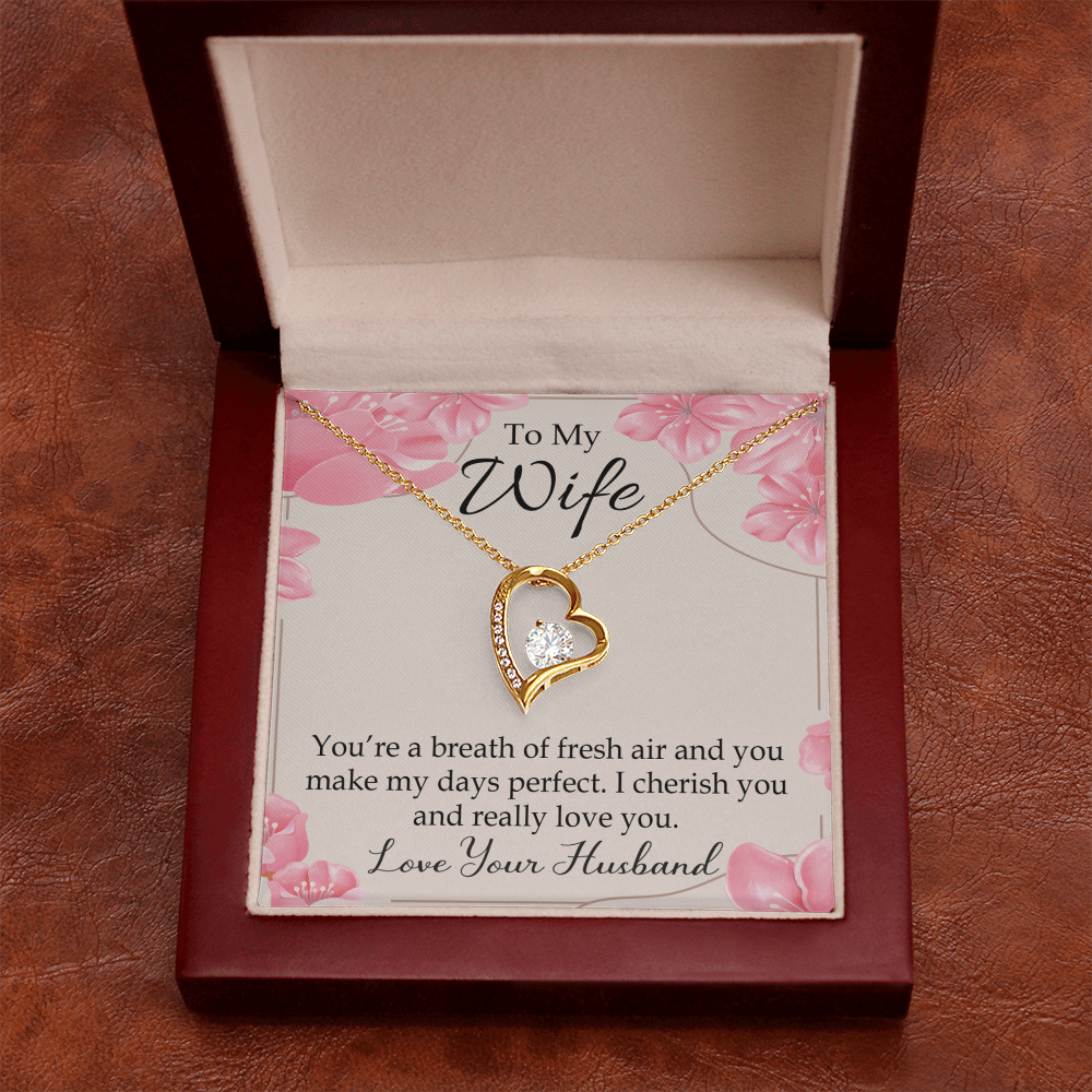 To My Wife You’re a Breath of Fresh Air Forever Necklace w Message Card-Express Your Love Gifts