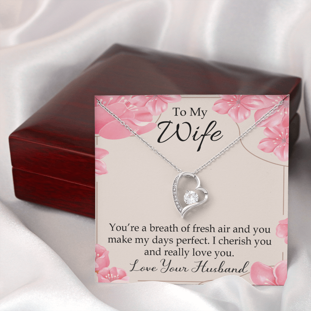To My Wife You’re a Breath of Fresh Air Forever Necklace w Message Card-Express Your Love Gifts