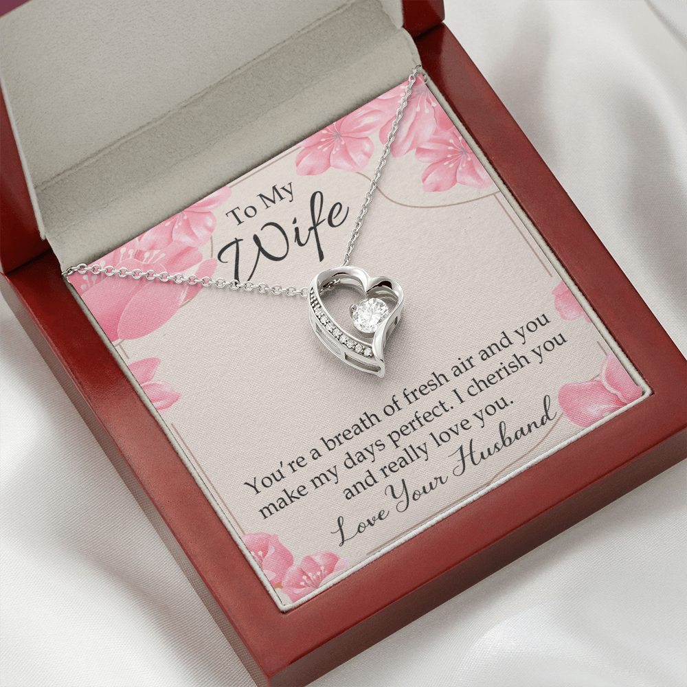 To My Wife You’re a Breath of Fresh Air Forever Necklace w Message Card-Express Your Love Gifts