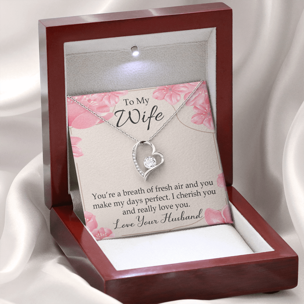 To My Wife You’re a Breath of Fresh Air Forever Necklace w Message Card-Express Your Love Gifts