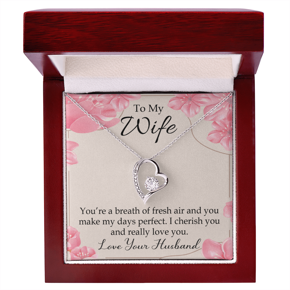 To My Wife You’re a Breath of Fresh Air Forever Necklace w Message Card-Express Your Love Gifts