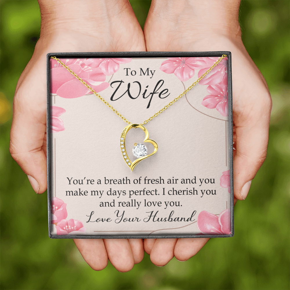 To My Wife You’re a Breath of Fresh Air Forever Necklace w Message Card-Express Your Love Gifts