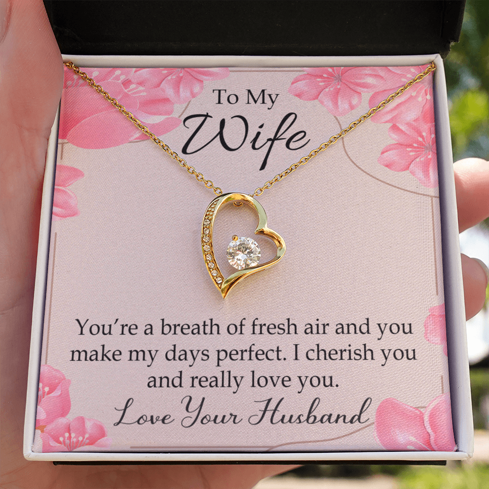 To My Wife You’re a Breath of Fresh Air Forever Necklace w Message Card-Express Your Love Gifts