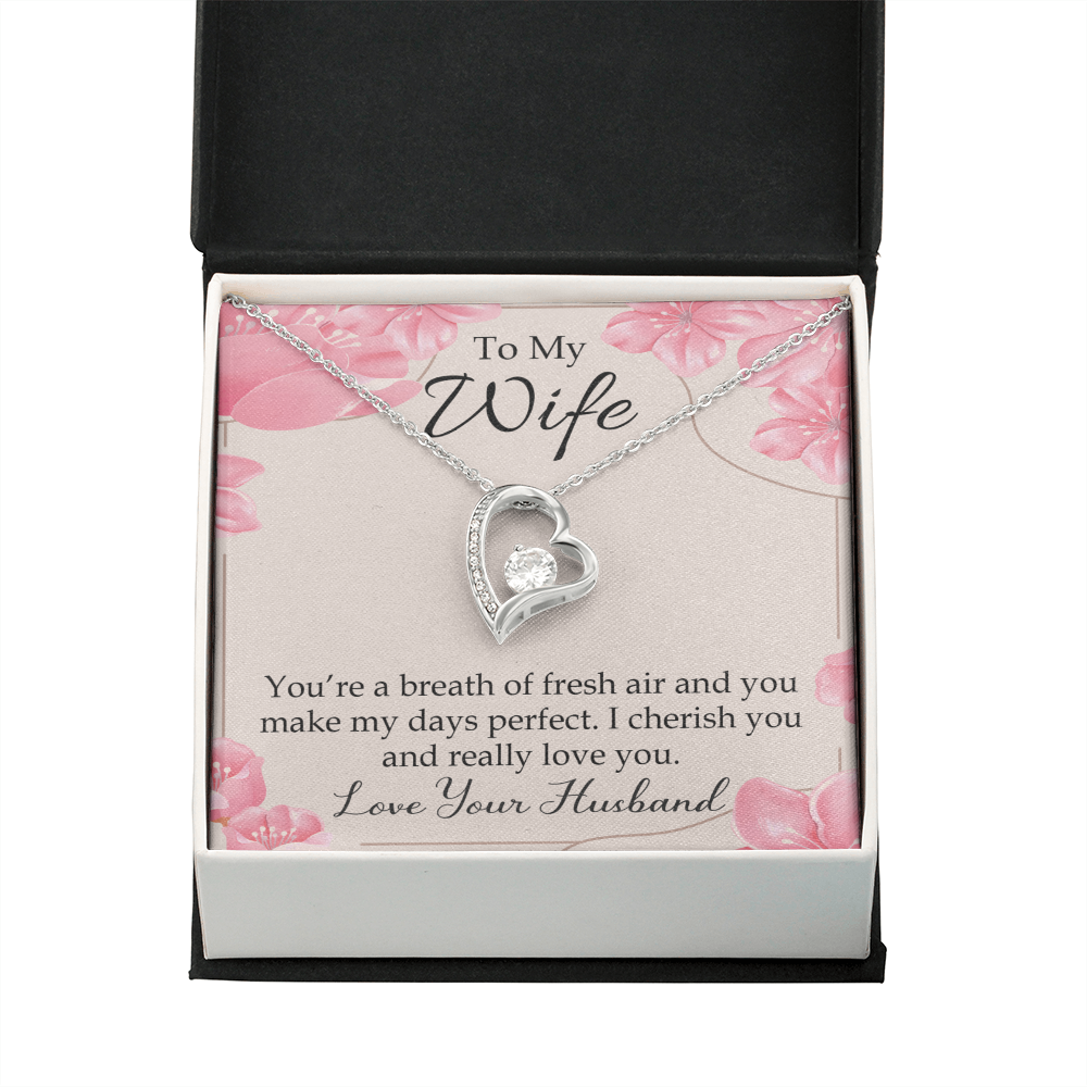 To My Wife You’re a Breath of Fresh Air Forever Necklace w Message Card-Express Your Love Gifts