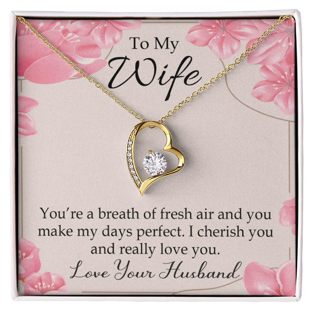 To My Wife You’re a Breath of Fresh Air Forever Necklace w Message Card-Express Your Love Gifts