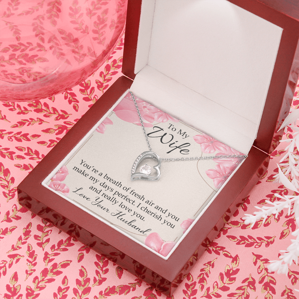 To My Wife You’re a Breath of Fresh Air Forever Necklace w Message Card-Express Your Love Gifts