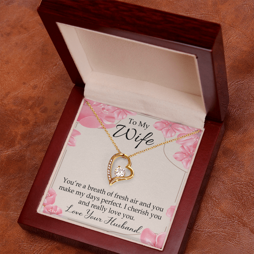 To My Wife You’re a Breath of Fresh Air Forever Necklace w Message Card-Express Your Love Gifts