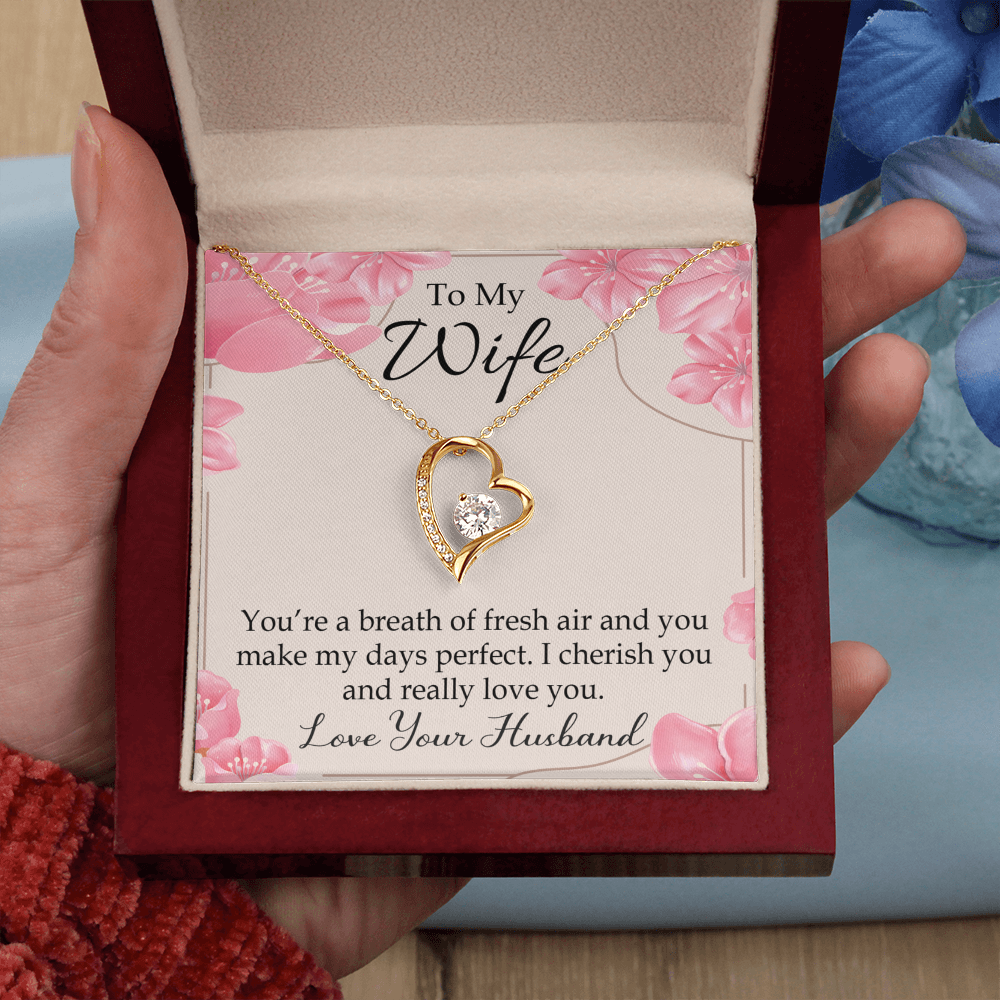 To My Wife You’re a Breath of Fresh Air Forever Necklace w Message Card-Express Your Love Gifts
