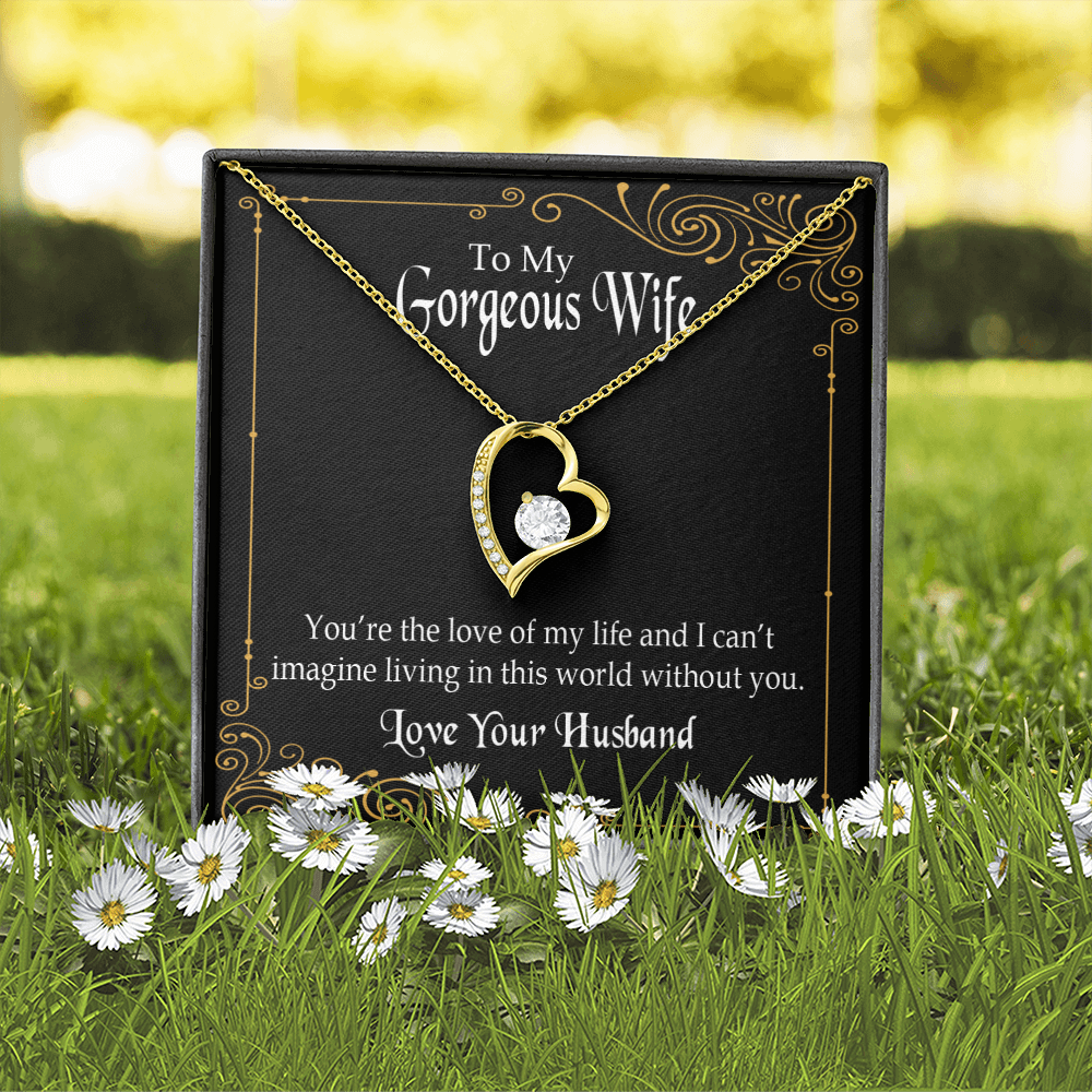 To My Wife You’re The Love of My Life Forever Necklace w Message Card-Express Your Love Gifts