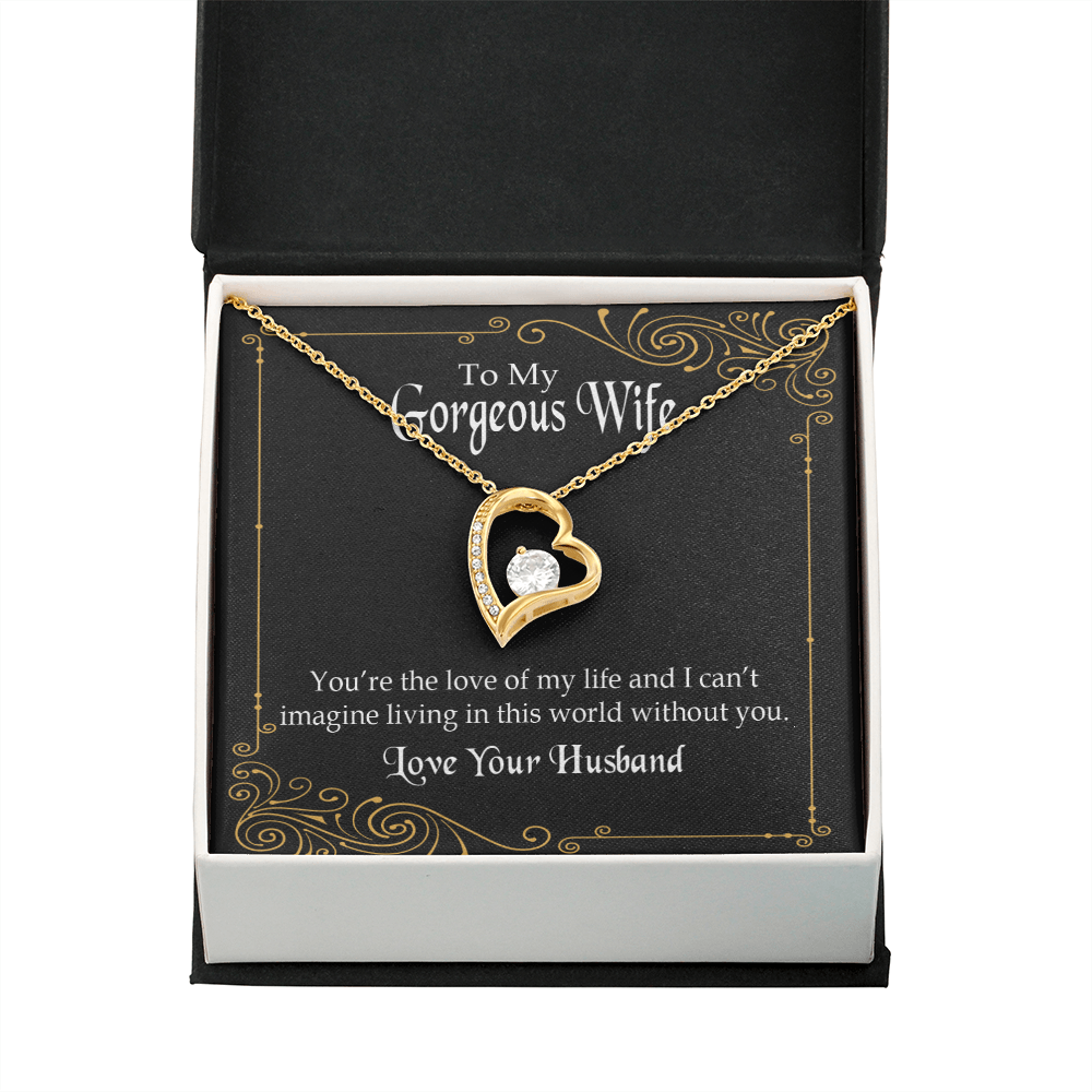 To My Wife You’re The Love of My Life Forever Necklace w Message Card-Express Your Love Gifts
