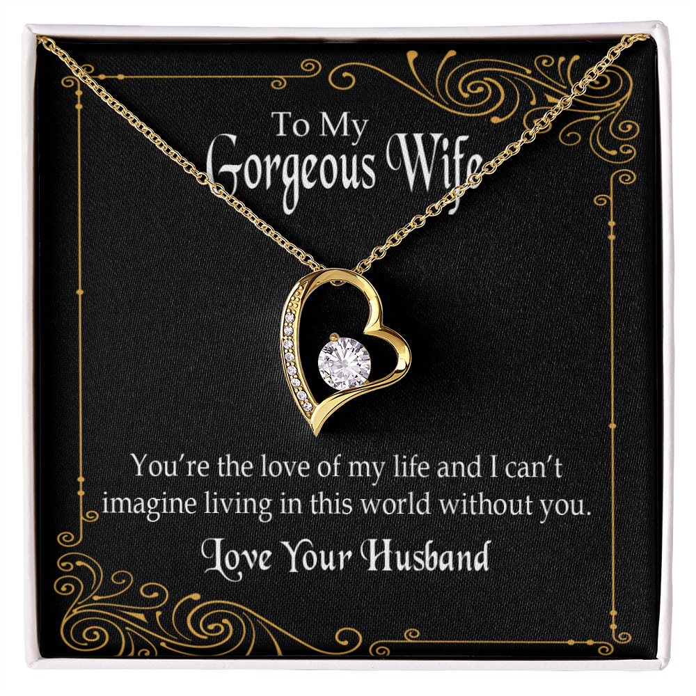 To My Wife You’re The Love of My Life Forever Necklace w Message Card-Express Your Love Gifts