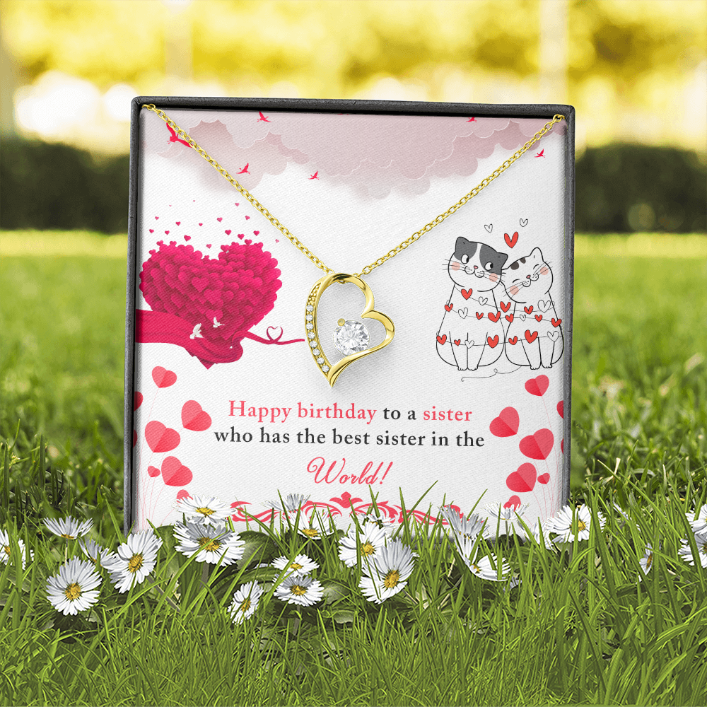 To Sister To The Best Sister Birthday Message Forever Necklace w Message Card-Express Your Love Gifts