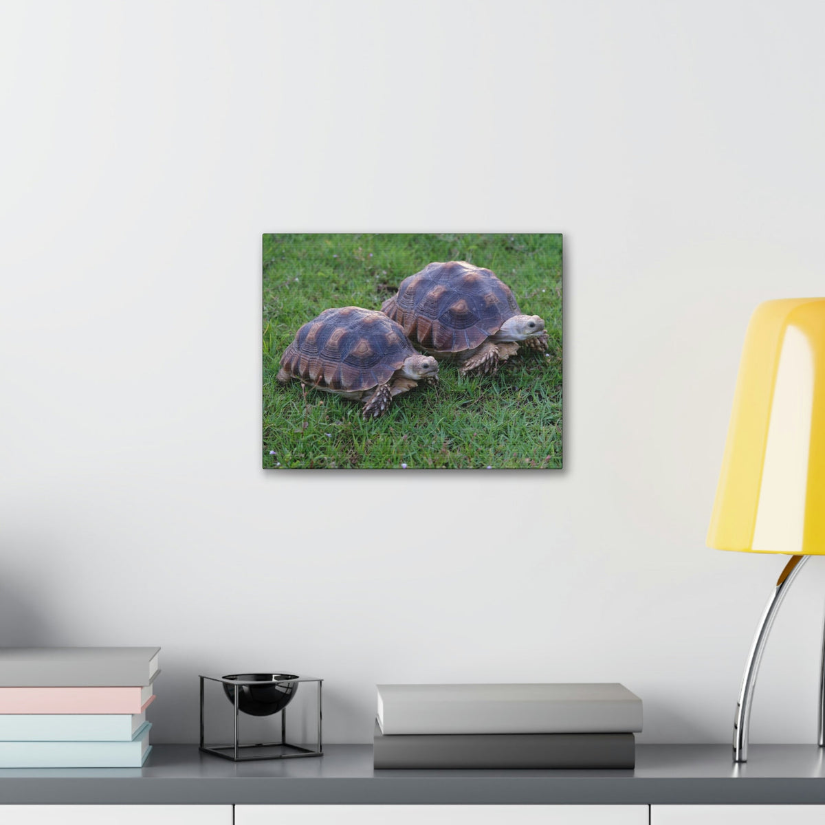 Scripture Walls Tortoise Couple Tortoise Couple Print Animal Wall Art Wildlife Canvas Prints Wall Art Ready to Hang Unframed-Express Your Love Gifts