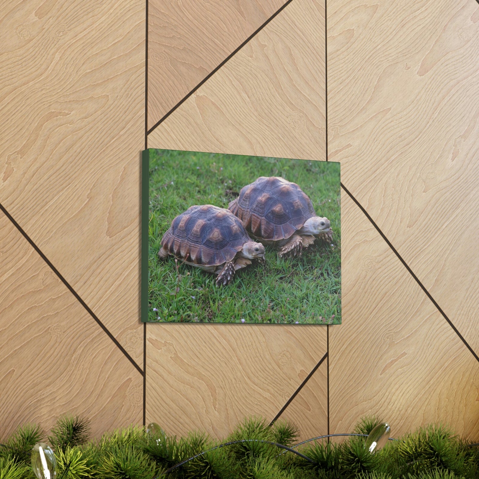 Scripture Walls Tortoise Couple Tortoise Couple Print Animal Wall Art Wildlife Canvas Prints Wall Art Ready to Hang Unframed-Express Your Love Gifts