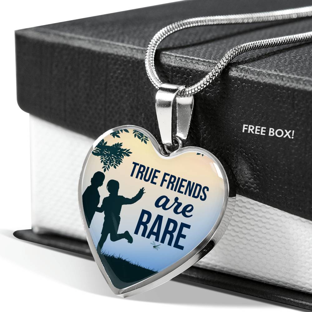 True Friends Are RAre Stainless Steel or 18k Gold Heart Pendant Necklace 18-22"-Express Your Love Gifts