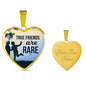 True Friends Are RAre Stainless Steel or 18k Gold Heart Pendant Necklace 18-22"-Express Your Love Gifts
