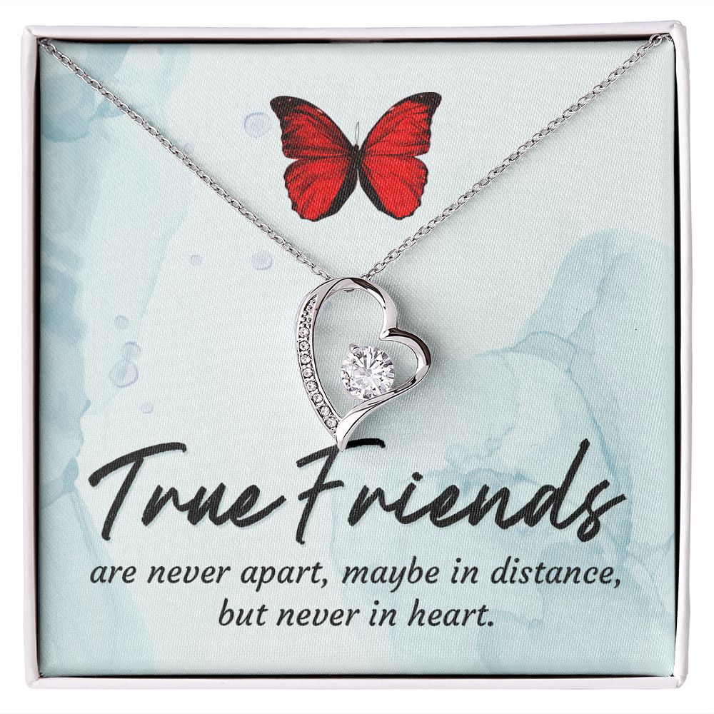 True Friends Forever Necklace w Message Card-Express Your Love Gifts