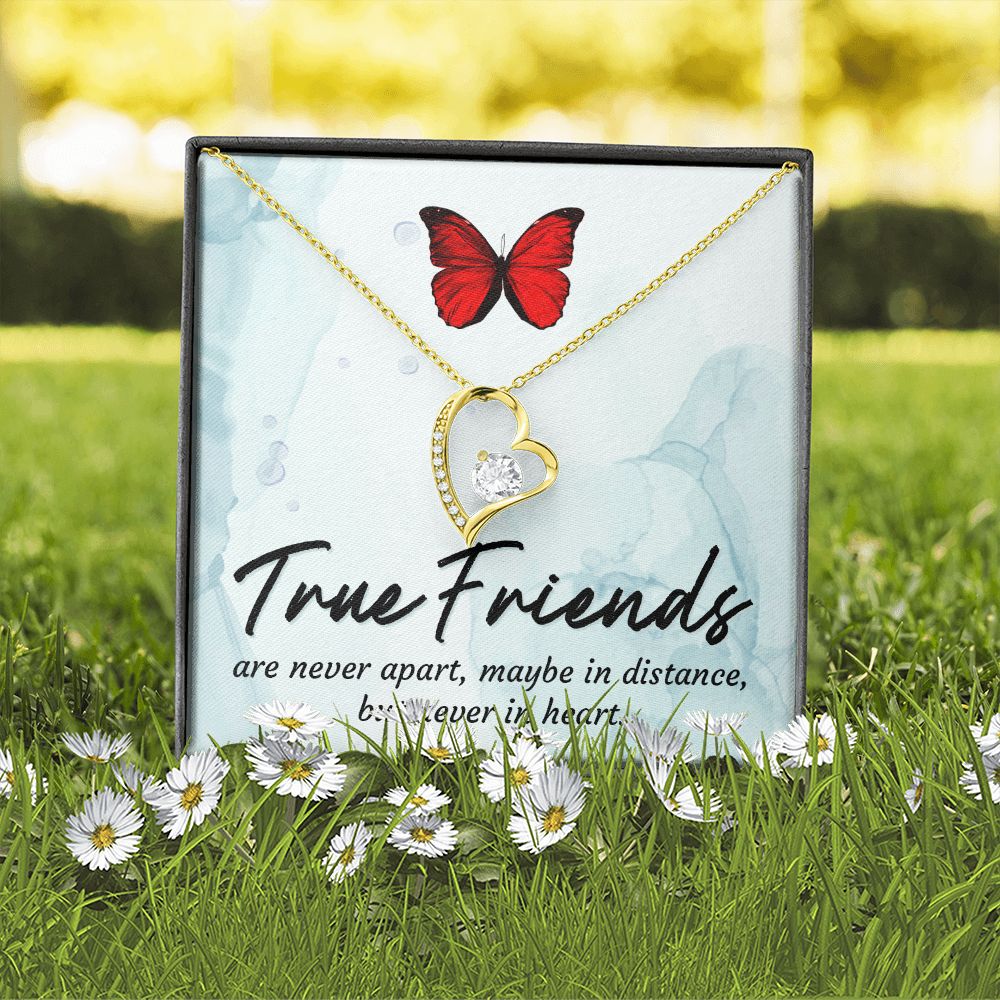 True Friends Forever Necklace w Message Card-Express Your Love Gifts