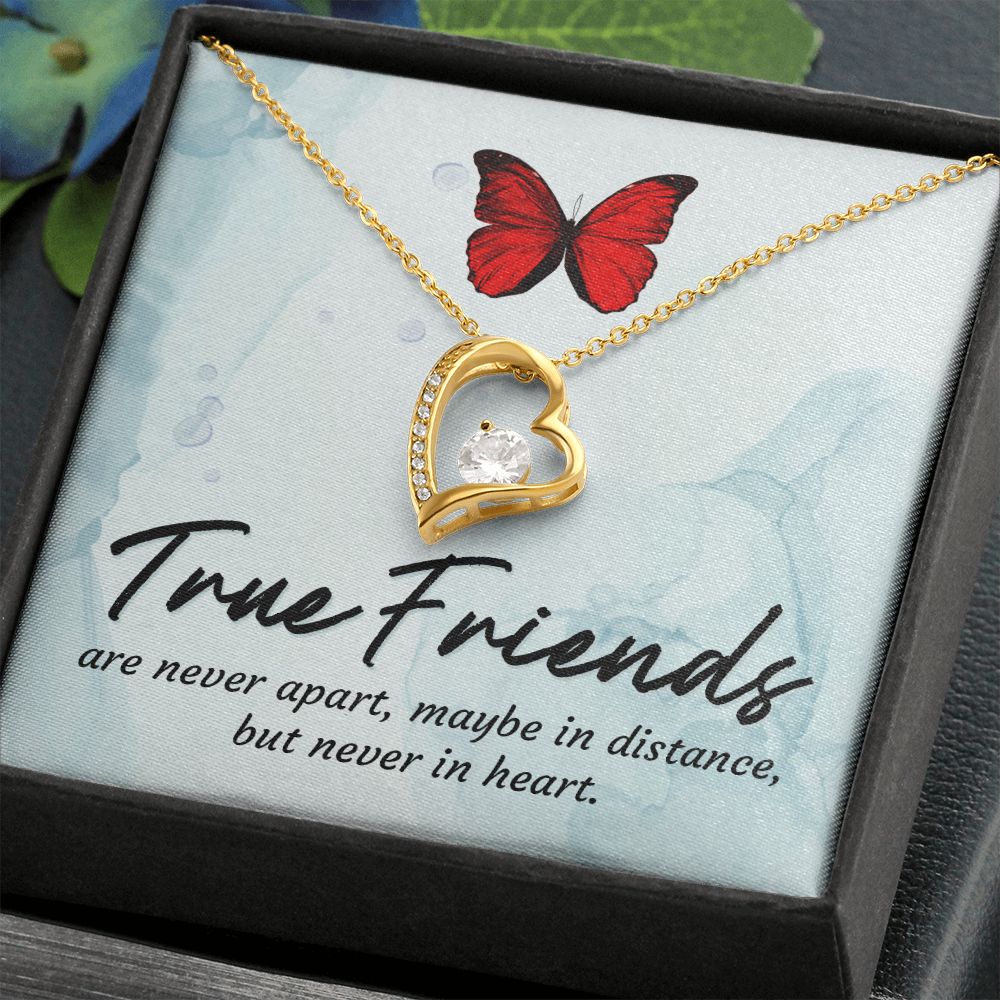 True Friends Forever Necklace w Message Card-Express Your Love Gifts