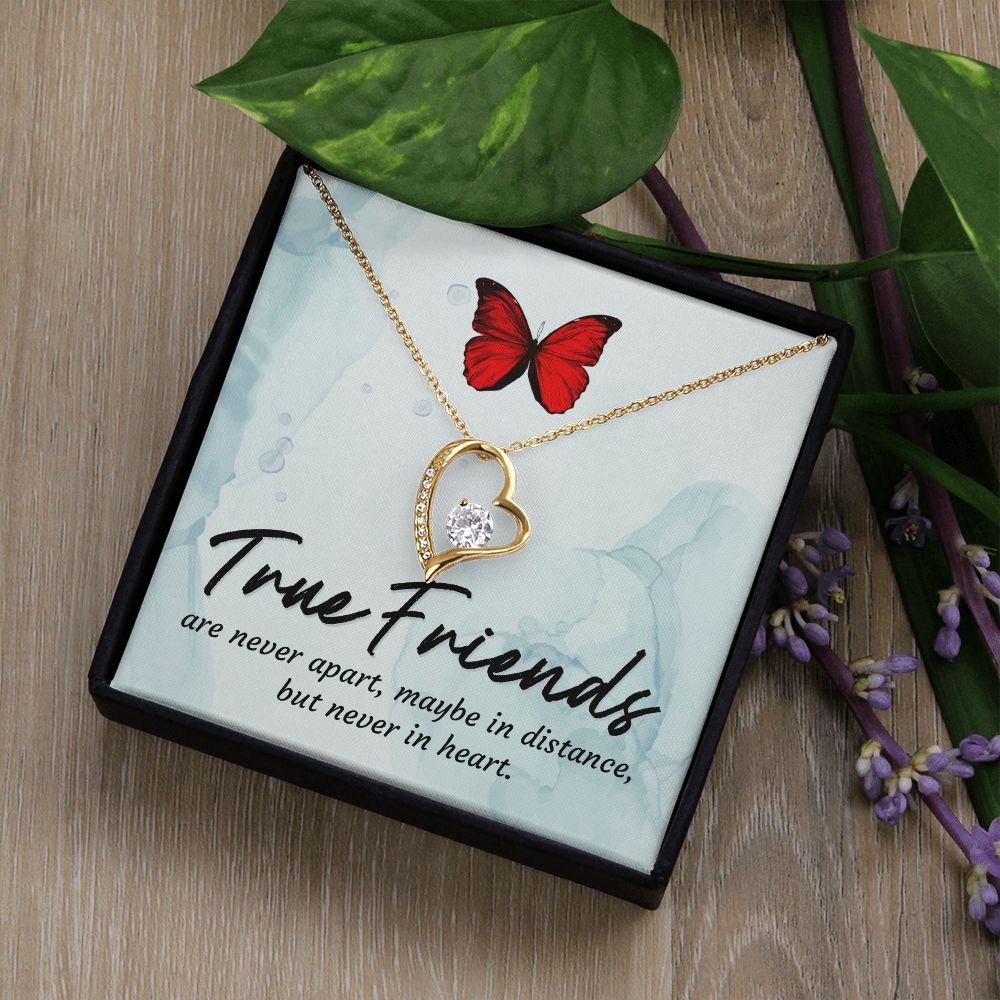 True Friends Forever Necklace w Message Card-Express Your Love Gifts