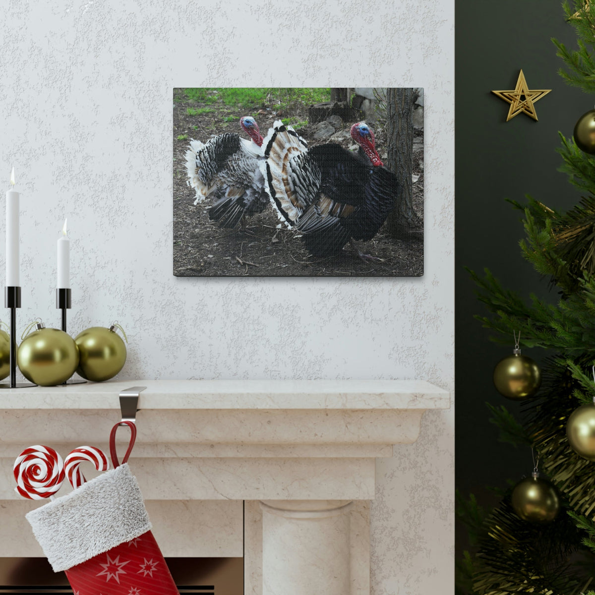 Scripture Walls Turkey Couple Turkey Couple Print Animal Wall Art Wildlife Canvas Prints Wall Art Ready to Hang Unframed-Express Your Love Gifts