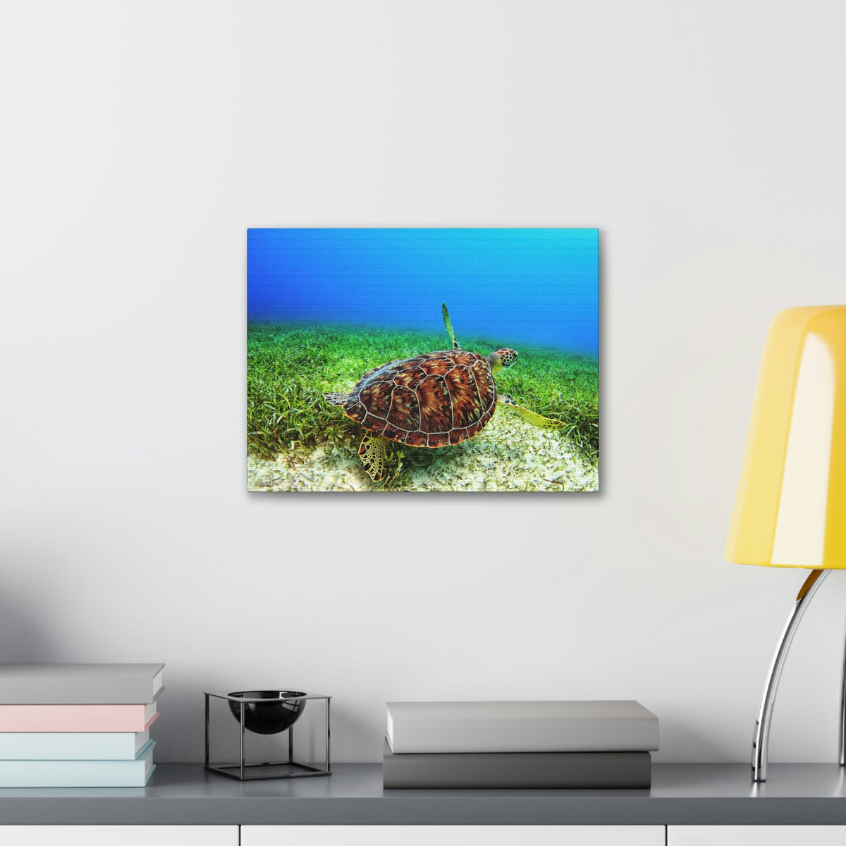 Scripture Walls Turtle Hunting Turtle on Hunt Print Animal Wall Art Wildlife Canvas Prints Wall Art Ready to Hang Unframed-Express Your Love Gifts