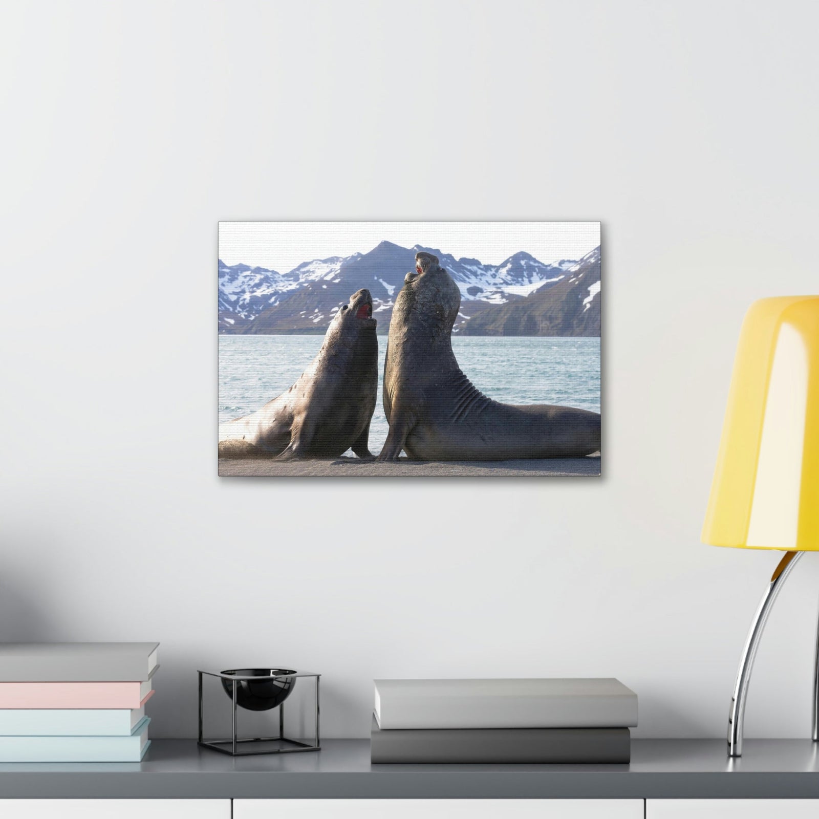 Scripture Walls Two Adult Seals Face Off in Battle Animal Wall Art Wildlife Canvas Prints Wall Art Ready to Hang Unframed-Express Your Love Gifts