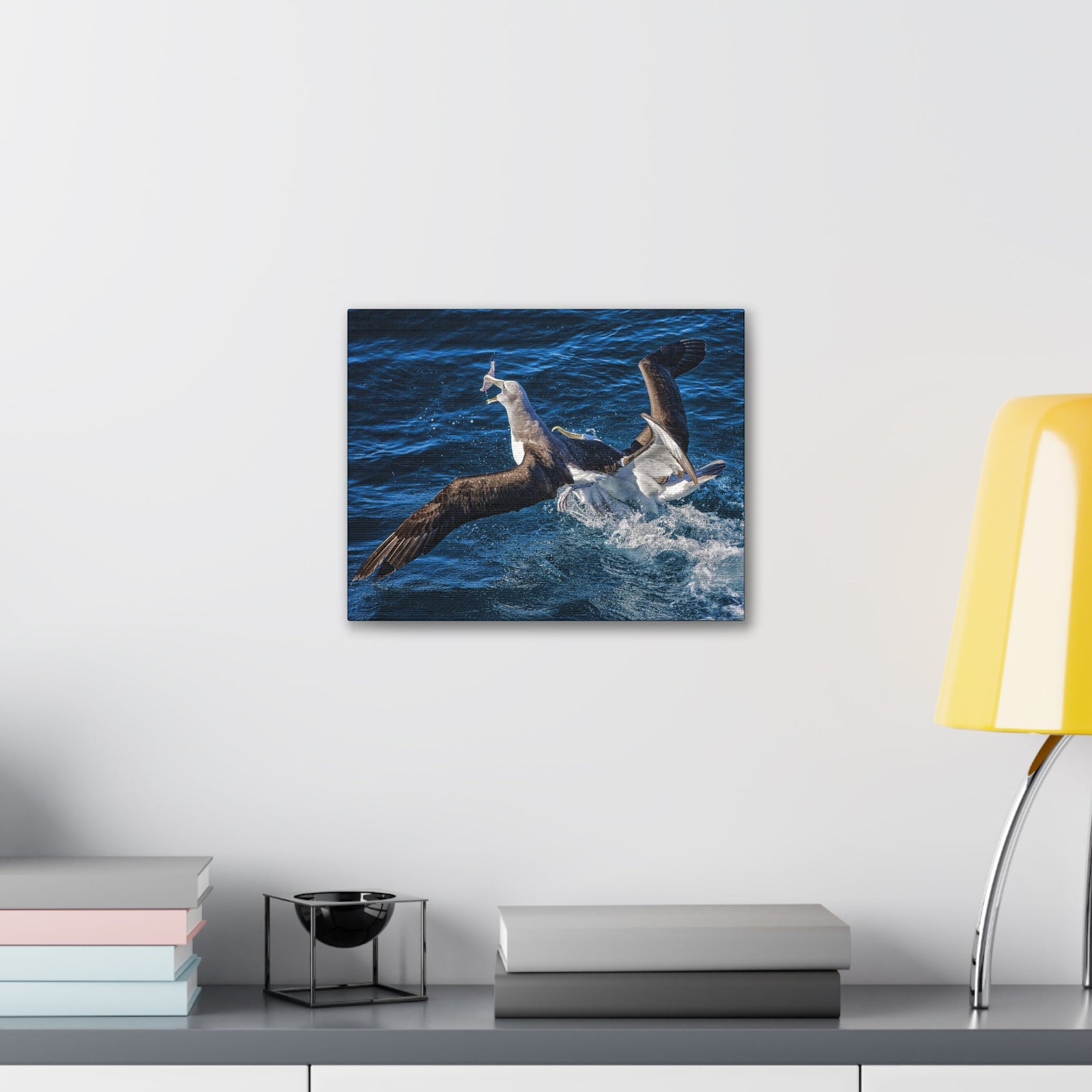 Two Albatross Fighting Over Food Canvas Gallery Wraps Unframed-Express Your Love Gifts