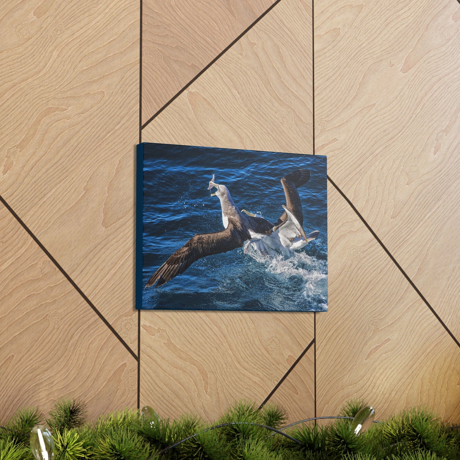 Two Albatross Fighting Over Food Canvas Gallery Wraps Unframed-Express Your Love Gifts