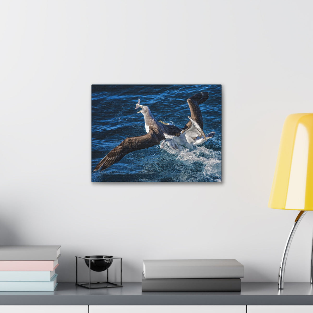 Two Albatross Fighting Over Food Canvas Gallery Wraps Unframed-Express Your Love Gifts