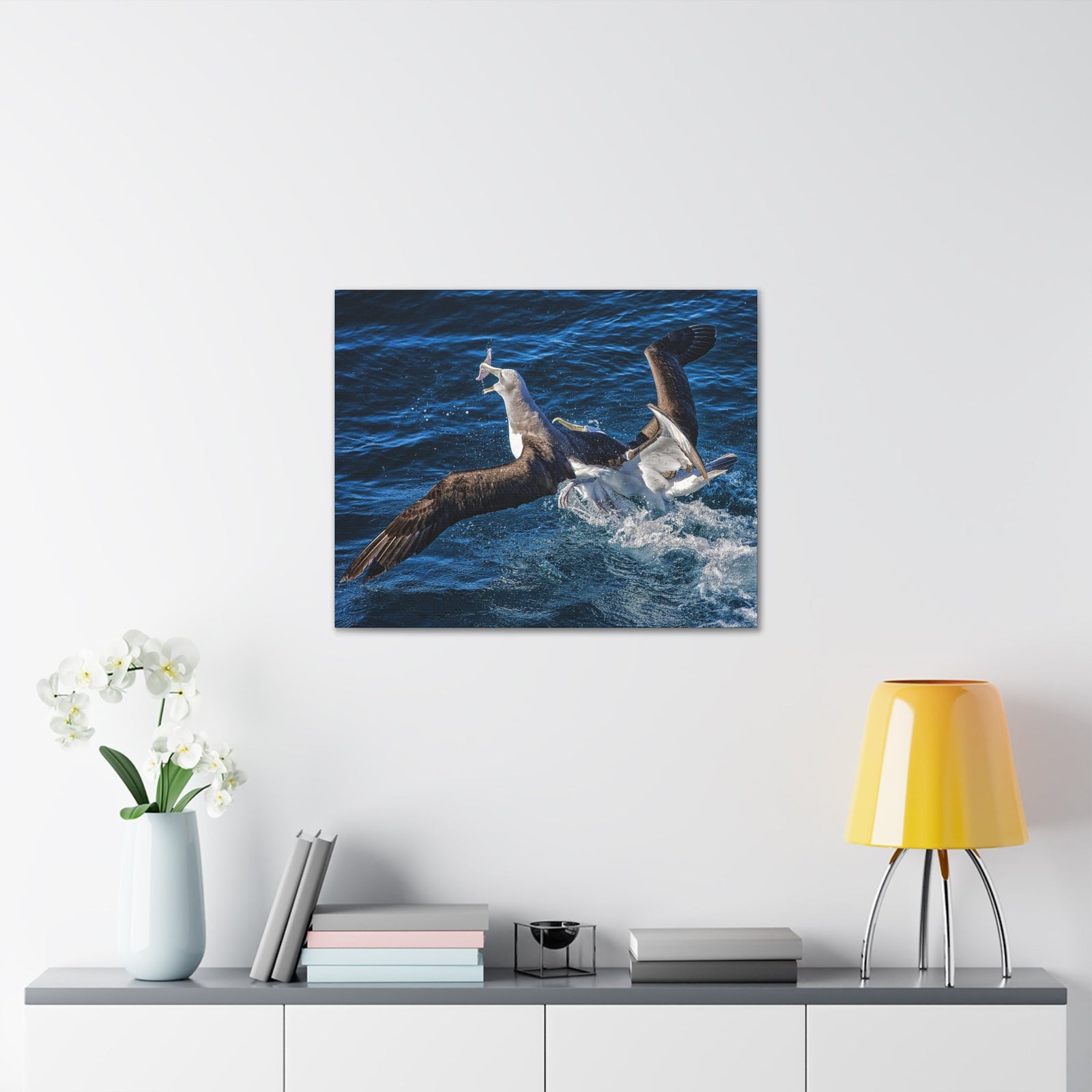 Two Albatross Fighting Over Food Canvas Gallery Wraps Unframed-Express Your Love Gifts