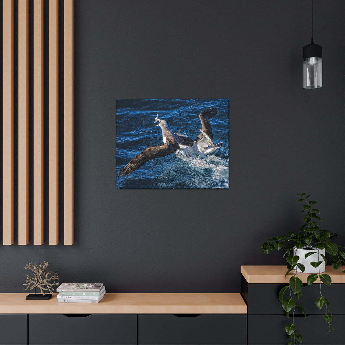 Two Albatross Fighting Over Food Canvas Gallery Wraps Unframed-Express Your Love Gifts