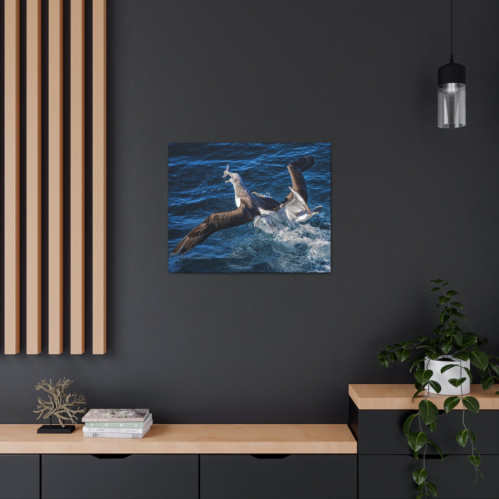 Two Albatross Fighting Over Food Canvas Gallery Wraps Unframed-Express Your Love Gifts