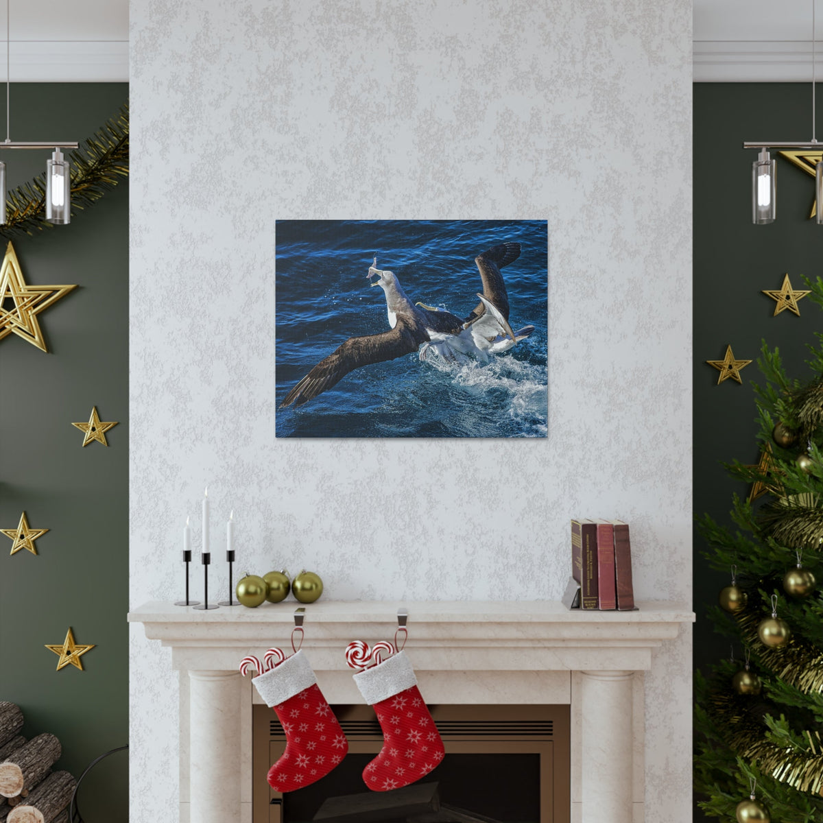 Two Albatross Fighting Over Food Canvas Gallery Wraps Unframed-Express Your Love Gifts